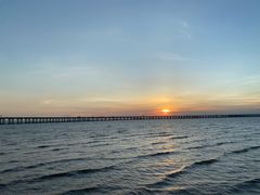 -宝安西湾红树林湿地公园