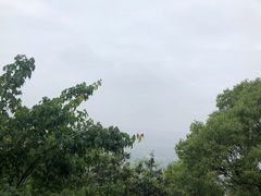 -杭州半山国家森林公园