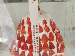 -维尔纳斯·生日蛋糕·动物奶油冰淇淋蛋糕(六里桥店)