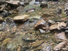 -素山寺森林公园