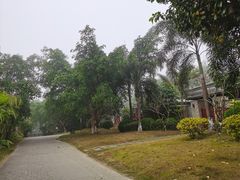 -候鸟水榕庄度假酒店