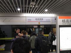 -杨高南路(地铁站)