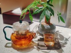 -至爱至信新中式SPA疗愈会所