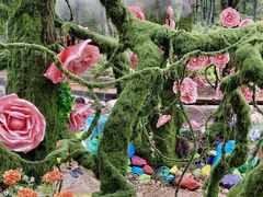 -洛阳白云山景区