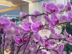 -皓齿连锁·雅贝健口腔·种植·矫正中心(虹口曲阳路店)