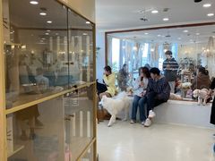 -共舞时光猫咖·狗咖(新街口店)