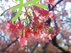 -沈阳铁西万象汇