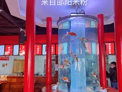 -秤砣砣·湖南粉面馆(青年路店)