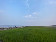 -南汇嘴观海公园