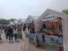 -嘉定紫藤园