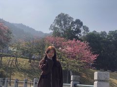 -艾米稻香小镇