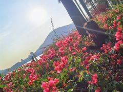 -顺峰山公园
