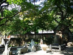 -青岛崂山太清宫