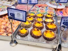 -日月昇渔家菜·海肠捞饭·大连海鲜(星海公园店)