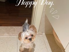 -comecome来吧宠物(奥克斯中心店)