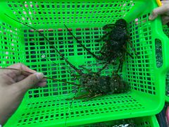 -众味海鲜大排档·活海鲜·潮汕味(南澳店)