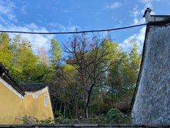 -丹山赤水风景名胜区