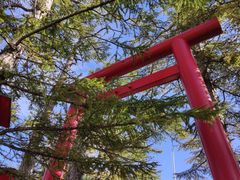 -富士山吉田線五合目