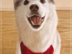 -Husky Go! 哈士奇体验馆·宠物咖啡厅狗咖