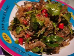 酸辣鱼皮-碌碌发·东南亚风味烧烤档(体育西店)
