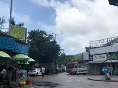 -珍妮曲奇聪明小熊(尖沙咀店)