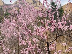 -北京凤凰岭