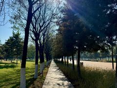 -汉长安城未央宫国家考古遗址公园