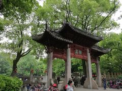 -汇龙潭