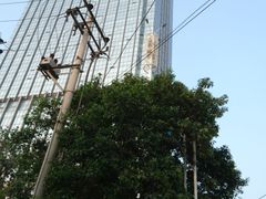 -视界美食自助餐厅·石家庄希尔顿酒店