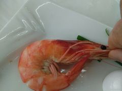 -渔民船说·北塘海鲜·天津菜·海肠捞饭(北塘古镇店)