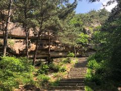 -无染寺