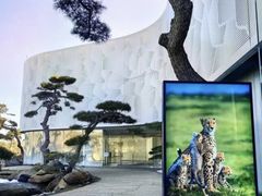 -罗红摄影艺术馆