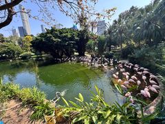 -九龙公园