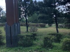 -蒲河岛湿地公园