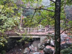 -藏龙百瀑风景区