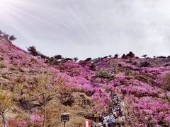 -青岛大珠山景区