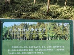 -桤木河湿地公园