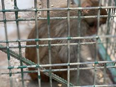 -南京金牛湖风景区