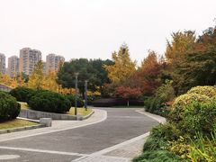 -杭州城北体育公园