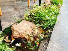 -北马山庄植趣咖啡