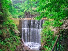 -大奇山国家森林公园