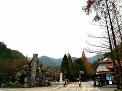 -大围山国家森林公园
