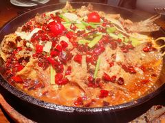-老板恋上鱼(高新万达店)