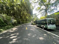 -杭州花家山庄