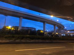 -旭龙鱼头王(航华店)