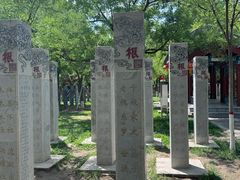 -大槐树寻根祭祖园