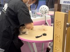 -FAELING PETS美天灵宠物(富力广场店)