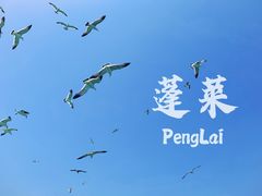 -长岛南北长山旅游景区