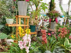 -国家植物园南园