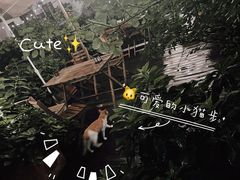 -秘密小花园(第三中学店)
